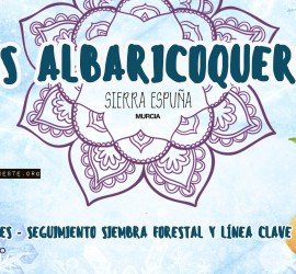 Encuentro REPESEI de Invierno 2017 – Albaricoqueros – Sierra Espuña