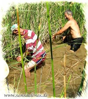 ENCUENTRO DE ECOALDEAS EN MATAVENERO(LEÓN) 