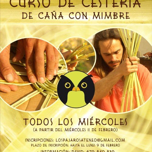 Curso de Cestería de caña con mimbre
