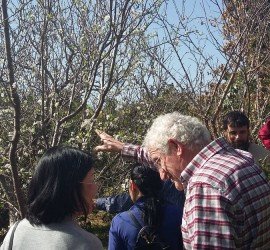Juan Antón enseñando su bosque comestible