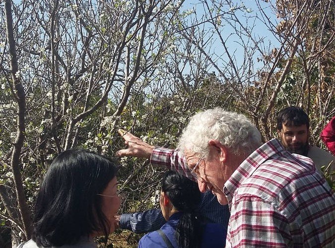 Juan Antón enseñando su bosque comestible