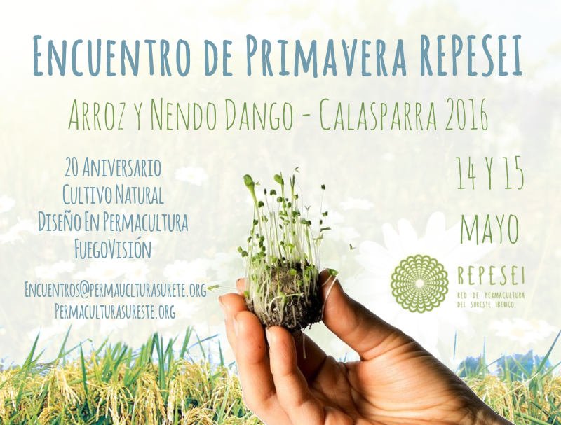 Encuentro de Primavera REPESEI - Arroz y Nendo Dango - Calasparra 2016