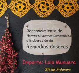REconocimiento de Plantas Silvestres comestibles y elaboración de Remedios Caseros