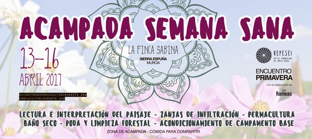 REPESEI Primavera 2017