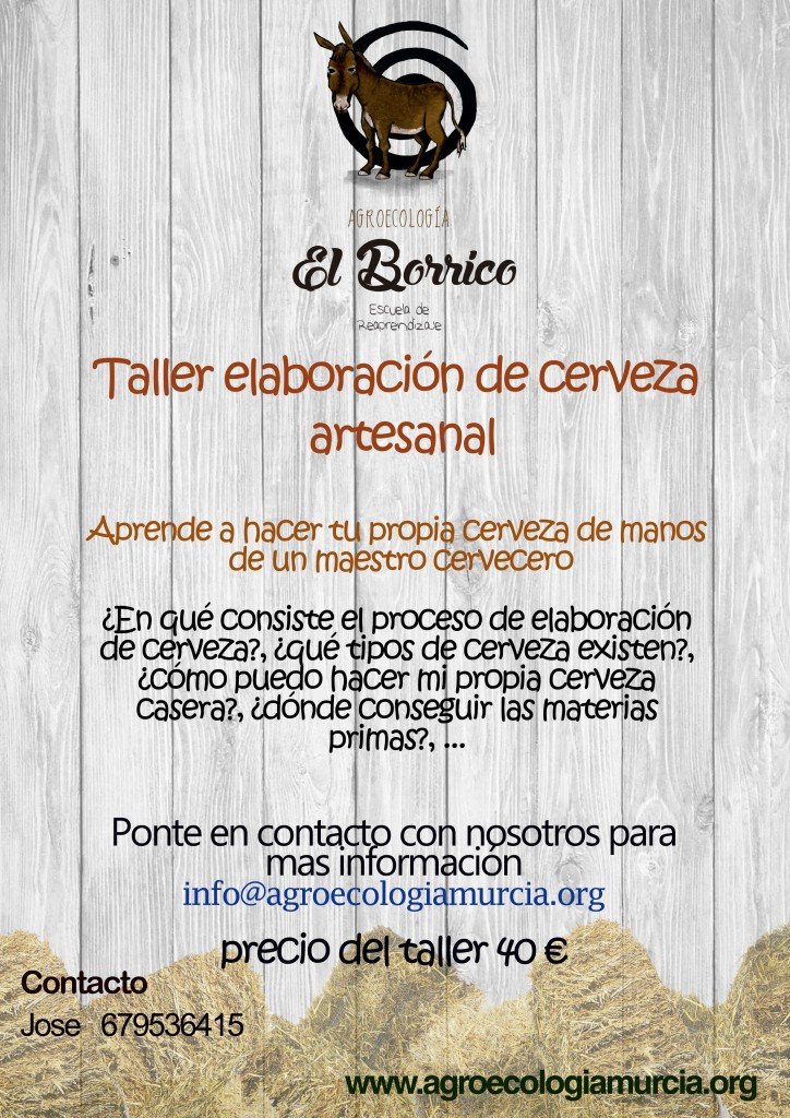 Taller cerveza artesanal
