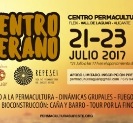 Cartel encuentro de Verano REPESEI