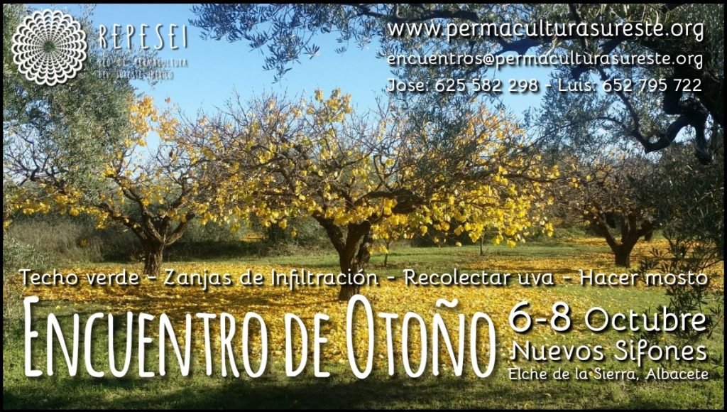 Cartel del encuentro de Otoño 2017- Un bonito arbol otoñal de la finca y las actividades de techo verde, zanja de infiltración, cosechar uva y hacer mosto