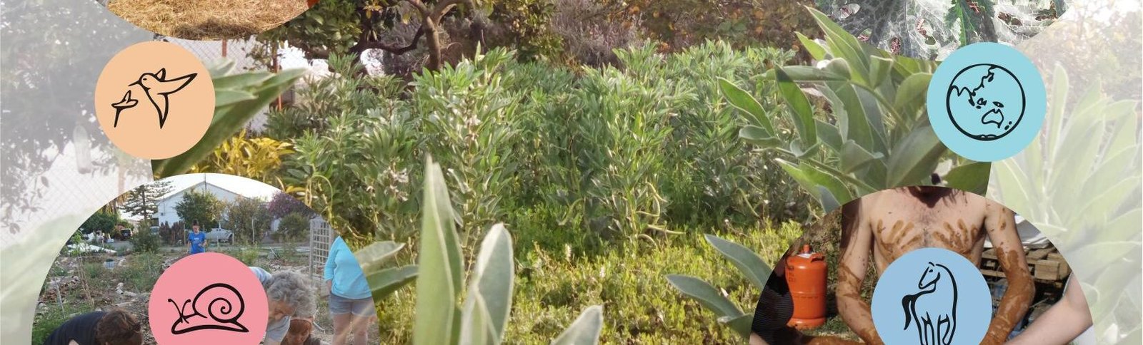 Aplazado a Octubre de 2022